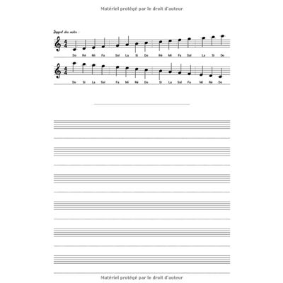 Cahier de Musique et Chant: cahier de musique avec portée et carreaux | 1  page Seyes pour les paroles, annotations et 1 page portée pour le solfège 