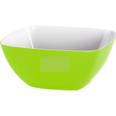 EMSA 507166 COLOUR COLLECTION VIENNA SALADIER BICOLORE VERT CLAIR DIAMÈTRE: 20 CM