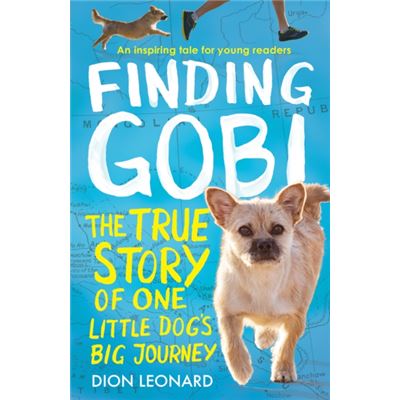 Finding Gobi Pb