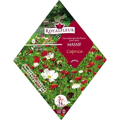 Royalfleur Pfrk08697 Graines De Mélange De Fleurs Mon Massif Caprice 3 M²