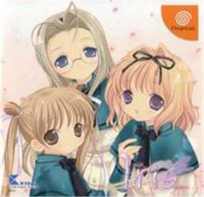 Iris - IMPORT JAPONAIS