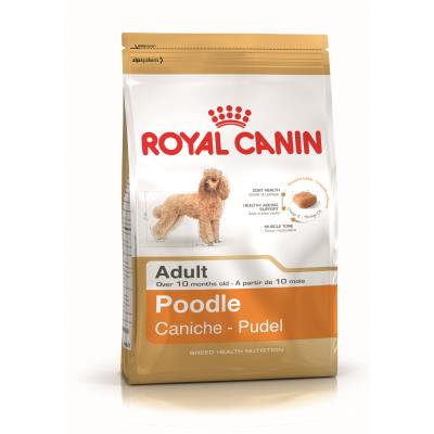 Royal Canin Caniche Adult (Poodle) - Croquettes pour chien-Caniche (Poodle)