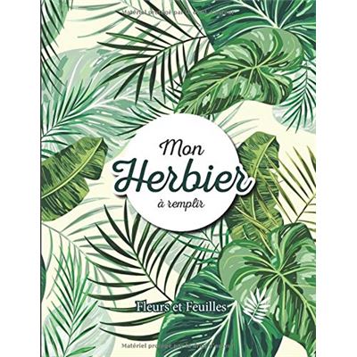 Lot de 84 feuilles séchées pressées - Feuilles d'herbier mélangées - Véritables feuilles naturelles sèches pour résine, artisanat, bricolage, décoration d' ongles, décorations (A