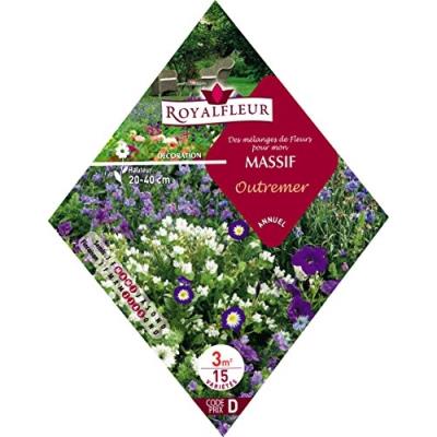 Royalfleur Pfrk08711 Graines De Mélange De Fleur Pour Mon Massif Outremer 3 M²