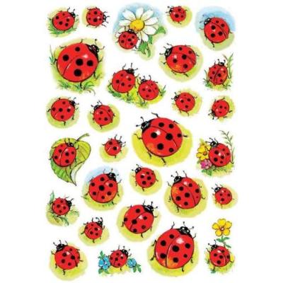 Herma sticker decor coccinelles et fleur 3815