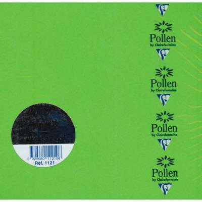 Paquet De 25 Cartes Simples Pollen 160X160Mm Vert Menthe 210G