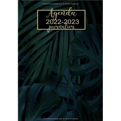 Agenda Scolaire 2022 2023 Gamer - Planificateur journalier 1 jour par page  NLFBP Editions - broché - NLFBP Editions - Achat Livre