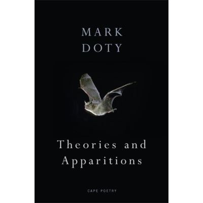 Theories and Apparitions