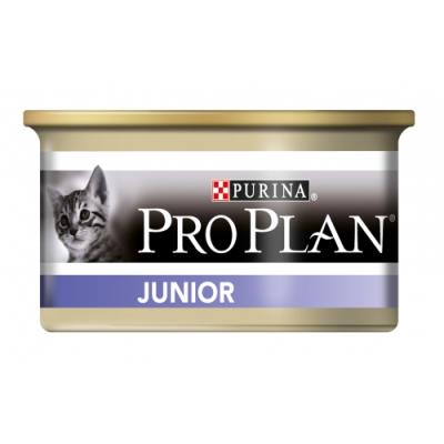 Pro plan - junior - 18 + 6 gratuites