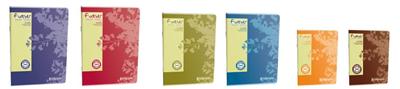 Cahier Forever Calligraphe A4 Q.5/5 Couleurs assorties