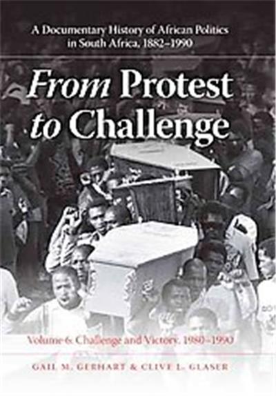 From Protest to Challenge