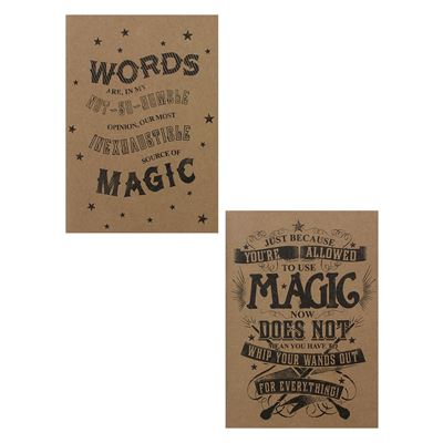 Harry Potter Carnet A5 Magic Exercise Book