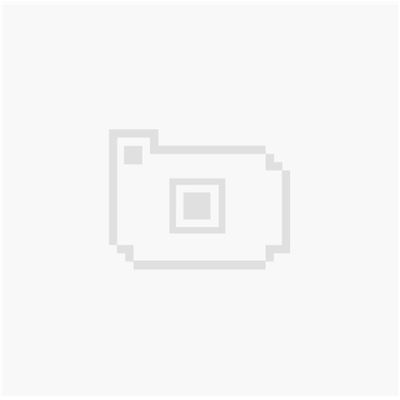 Diablo 3 Ultimate Evil Edition PS4