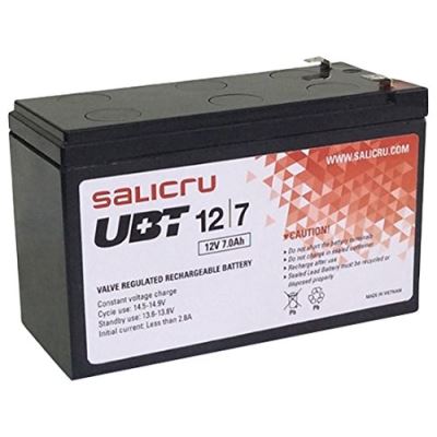 Salicru UBT 12/7 Batterie AGM Rechargeable 7 Ah / 12 V - Batteries de l'onduleur (Sealed Lead Acid (VRLA), Noir, 7 Ah, 12 V, 1 pièce(s), 5 année(s))