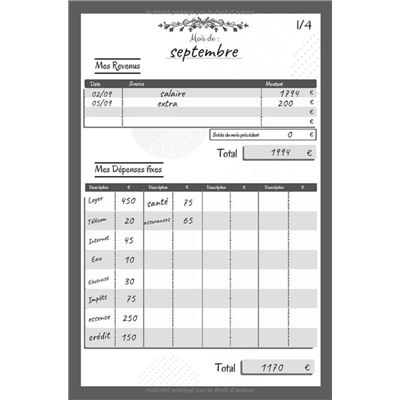 Kabeibo Livre de compte : Cahier de tenue de compte mensuelle et de budget  familial. Format 15 x 23 cm ( A5 ) - 100 pages NLFBP Editions - broché -  NLFBP Editions - Achat Livre