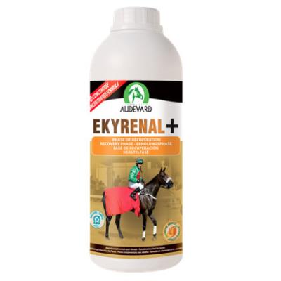 Meilleurs prix pour Audevard - ekyrenal + - 1 l