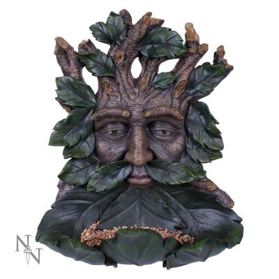Mangeoire de la forêt Green Man Bird Bath