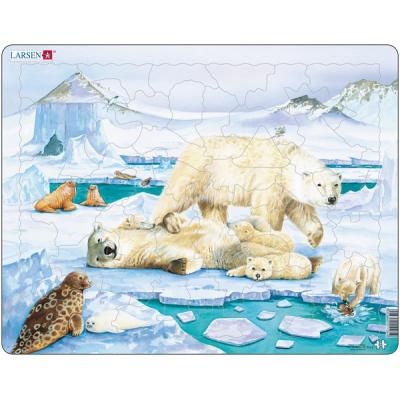 CHARLEX & CO - PUZZLE OURS POLAIRE