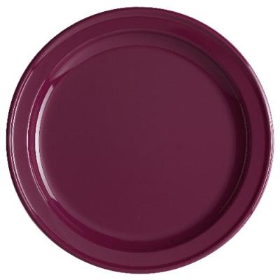 12 Assiettes Rondes En Plastique Aubergine 24 Cm