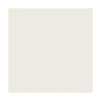 Lot De 4 Ramettes Papier A4 160g - Couleur Gris Acier - 250 Feuilles/ramette, Certifié FSC - Pour Impressions Qualité, Arts Créatifs