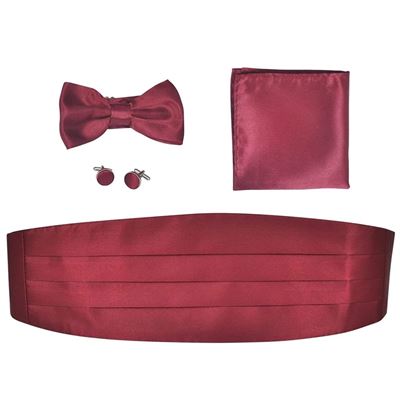 vidaXL Set de cummerbund et nœud papillon Homme pour mariage soirées