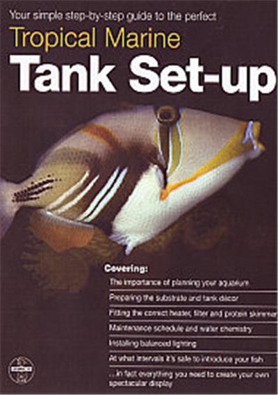 Tropical Marine Tank Set-Up
