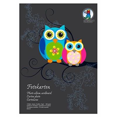 Ursus - Carton Photo, Ursus