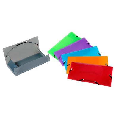 Lot de 25 Pochettes plastique format poche Viquel Multicolore