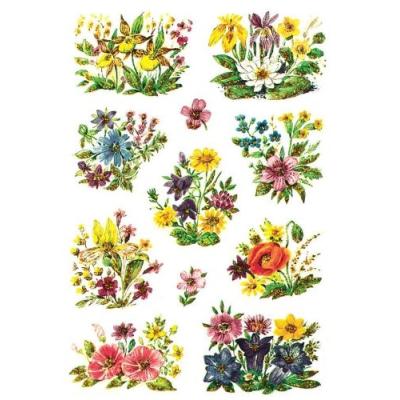 Herma ?tiquettes de d?coration decor stiefm?tterk?pfe 3818