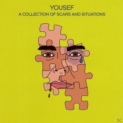 Collection Of Scars And Situations, A
