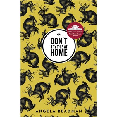Dont Try This At Home (Paperback)