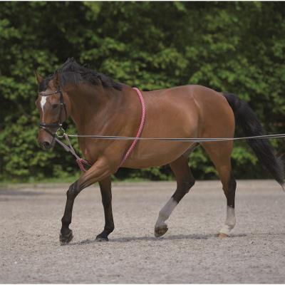 Enrênement style Peli Rouge Poney