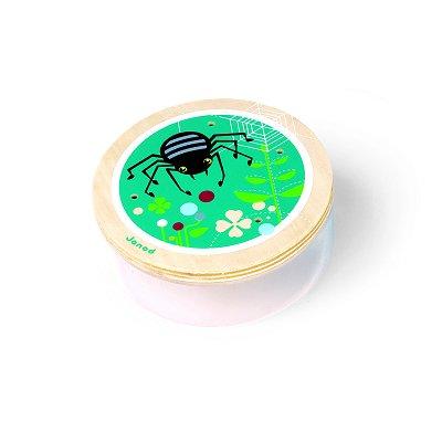 Boite à insectes - Araignée