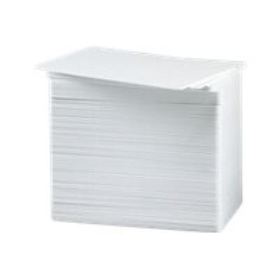 Zebra - kaart - 500 stuks