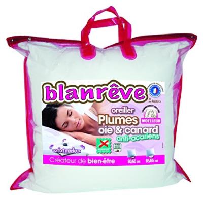 Blanrêve ormoehp016060 oreiller naturel moelleux 60 x 60 cm blanc