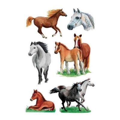 Herma sticker decor races de chevaux 3 feuilles 85 x 120 mm x 6 stickers 3553
