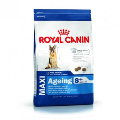 Croquettes royal canin maxi ageing 8+ sac 15 kg