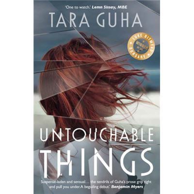 Untouchable Things (Paperback)