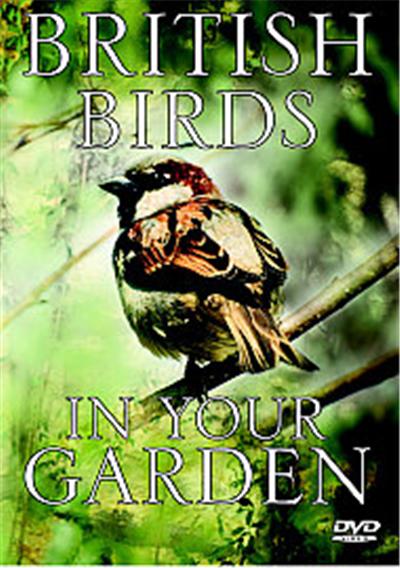 British Birds In Your Garden