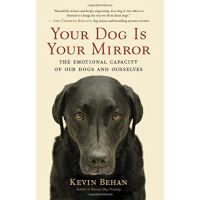 Your Dog is Your Mirror