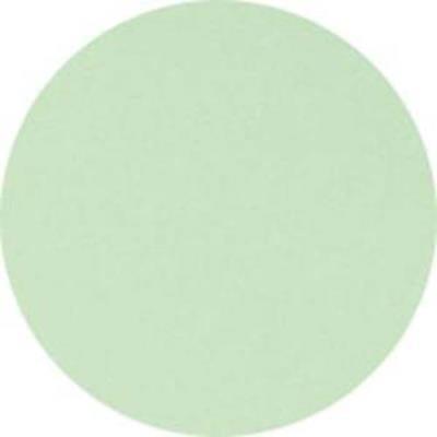 Lot de 5 Ramettes de 500 feuilles papier couleur TROPHEE 80 grammes format A4 vert golf