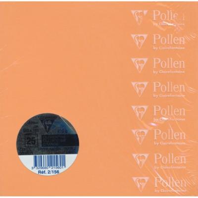 Paquet de 25 cartes pliées Pollen 160x160mm Clémentine 210g