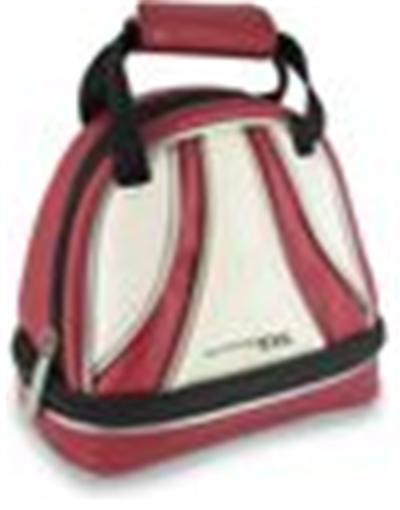 Sac de transport Brunswick pour Wii