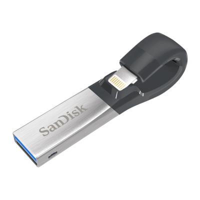 SanDisk iXpand - clé USB - 256 Go