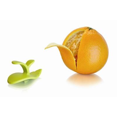Bouteille limonade 1 L