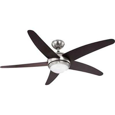 Globo ventilateur