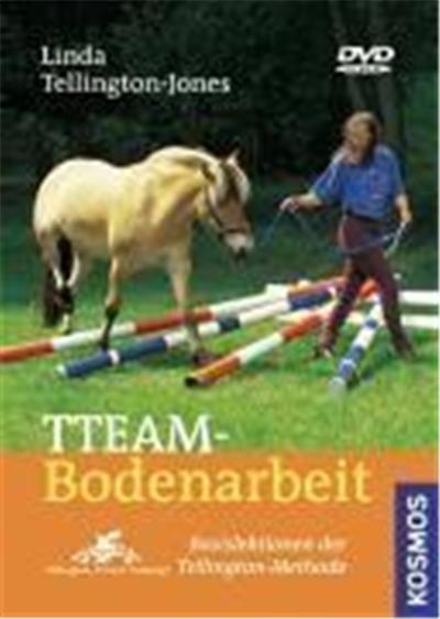 TTEAM-Bodenarbeit. DVD