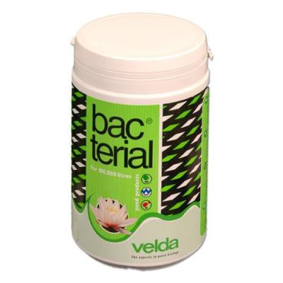 Velda Bacterial 1000 ml