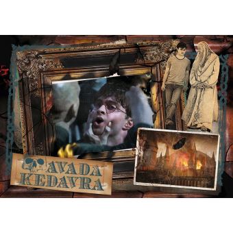 Winning Moves Puzzle Harry Potter - Avaka Kedavra 1000 pièces