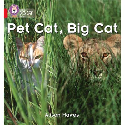 Pet Cat, Big Cat: Band 02A/Red A (Collins Big Cat Phonics): Red A/Band 2A